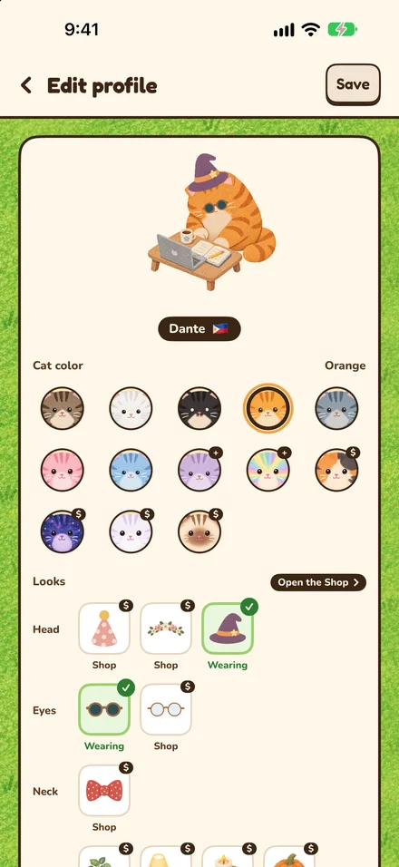 Edit profile, choosing a cat color, hat and glasses
